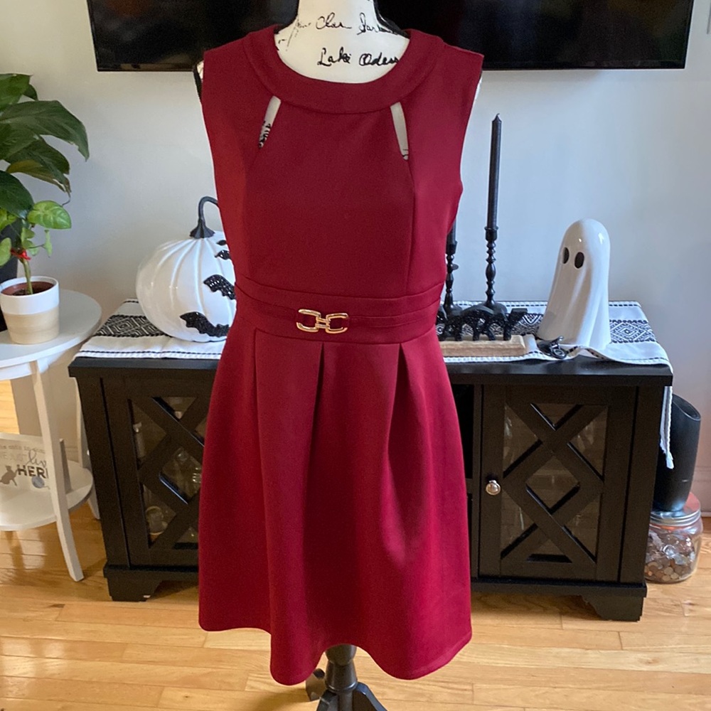 Burgundy Dress 12